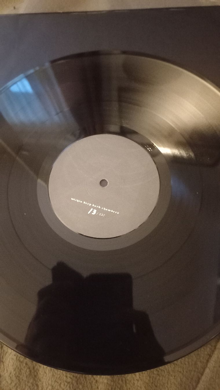Dischi in vinile: SHINING- 1- Within...Vinyl LP BLACK METAL – Usato da Olten venduto da Donatello1984 3