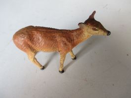 Reh