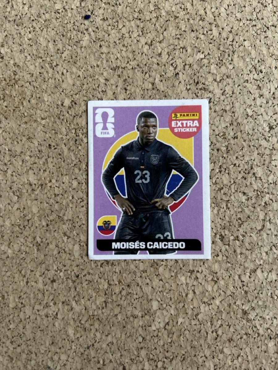 Panini Carte collezionabili: Panini 2026 Extra Sticker Caicedo – Usato da Stäfa venduto da mcfish78