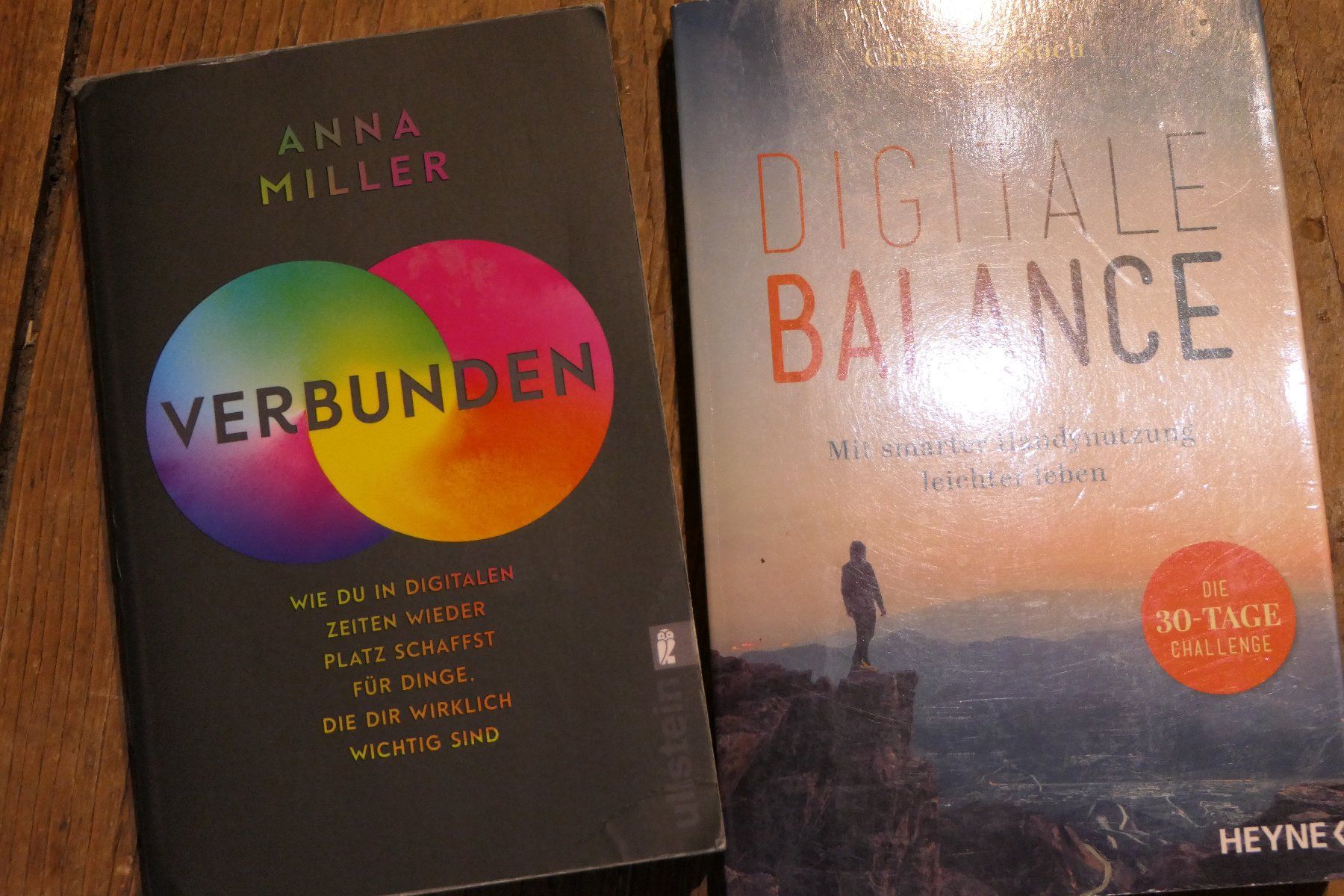 Libri: Digitale Achtsamkeit zwei Bücher – Usato da La Sagne NE venduto da bet_g298