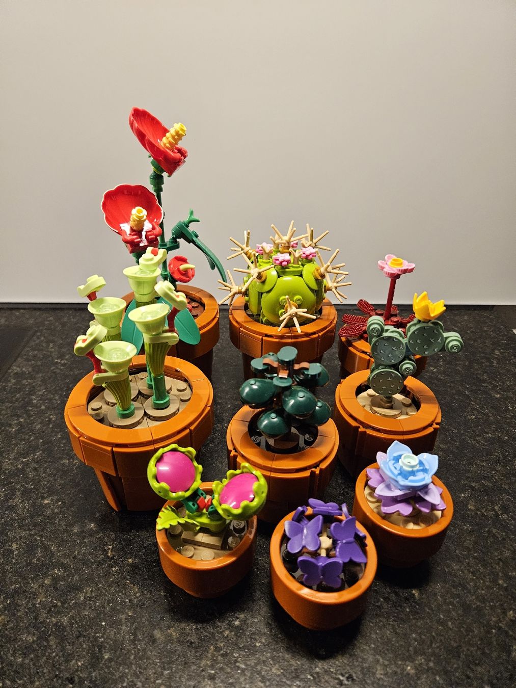 Lego Jouets: Lego Icons/Botanical – D'occasion à Bremgarten b. Bern par Rooney3047
