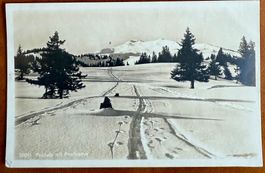 Flums - Prodalp mit Prodkamm 1921
