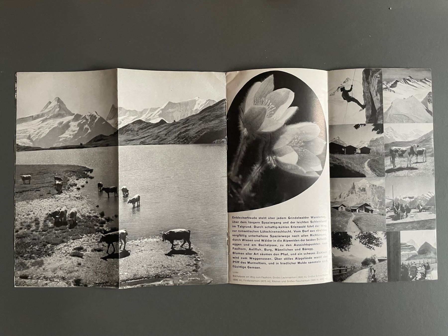 Documents: Grindelwald Berner Oberland – D'occasion à Luzern par oh_08 2