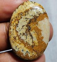 Cabochon L-7245 – Bilder Jaspis 17,20 Karat – 29X20X4 mm
