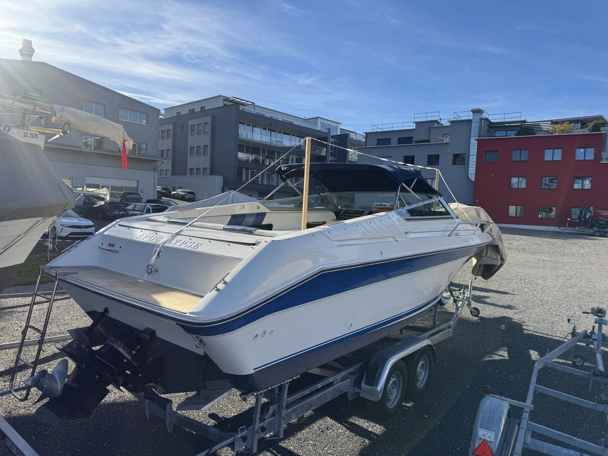 Sea Ray Boote: Sea Ray Cuddy Cabin – Gebraucht aus Wilen b. Wollerau von Loonyacht 1