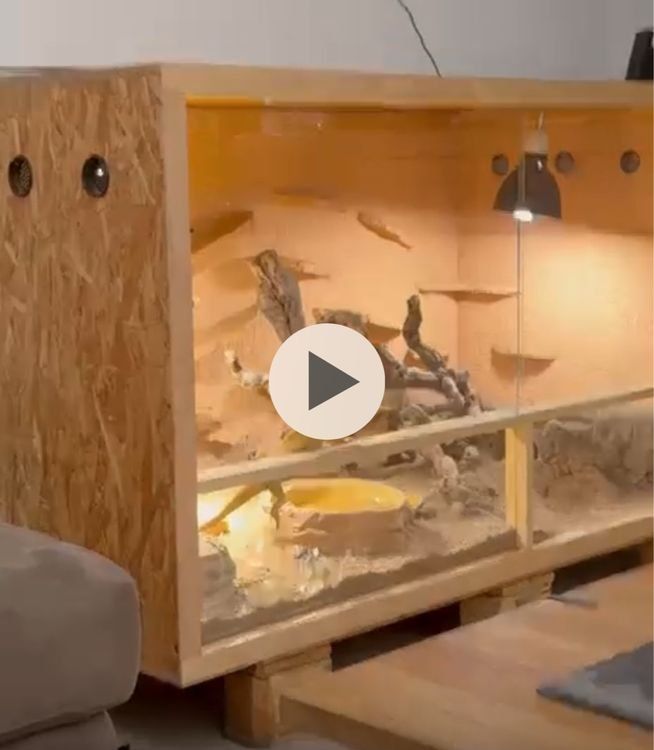 Terrario: Terrarium besteht aus OSB Platten mit Glasfront – Usato da Wichtrach venduto da Sl4sh
