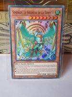 Simorgh, le seigneur de la tempete TCG
