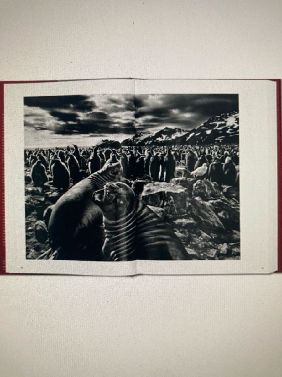 Bücher: Genesi libro Sebastiao Salgado – Neu und originalverpackt aus lugano von Orsetta 1