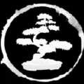 Profile image of Duja01