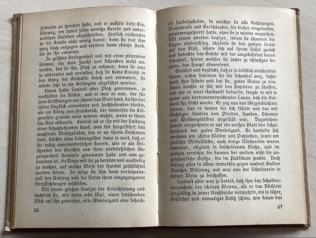 Bücher: Geschichte Schweiz,  Der Landvogt von  Greifensee  0 – Gebraucht aus Reinach BL von Linda013 3