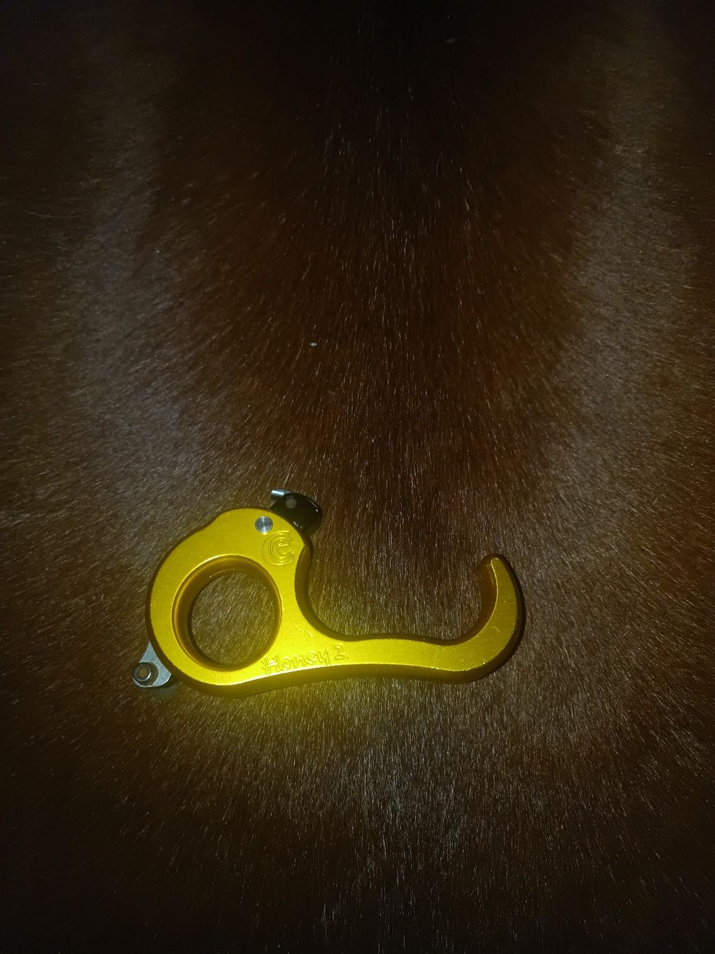 Tiro con l'arco: CARTER Honey 2 - Release – Usato da Sachseln venduto da oli_8r6w 1