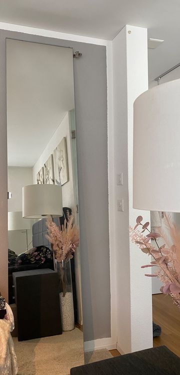 Ikea Pax Spiegeltür 50x236 (Gebraucht) in Erlinsbach für CHF 29 – nur Abholung auf Ricardo kaufen