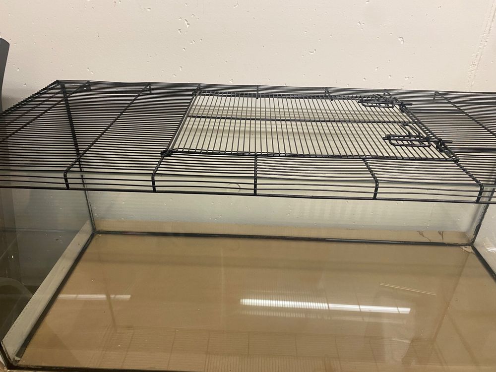 Terrarium mit Gitterabdeckung Kaufen auf Ricardo