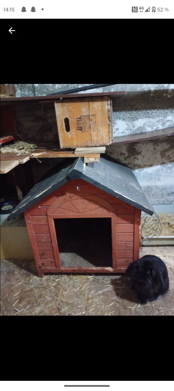 Cucce & Letti: hundehütte  – Usato da Gelterkinden venduto da leo_9z8m