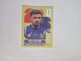 Panini WM 26 - Williams Ronwen- RSA 2