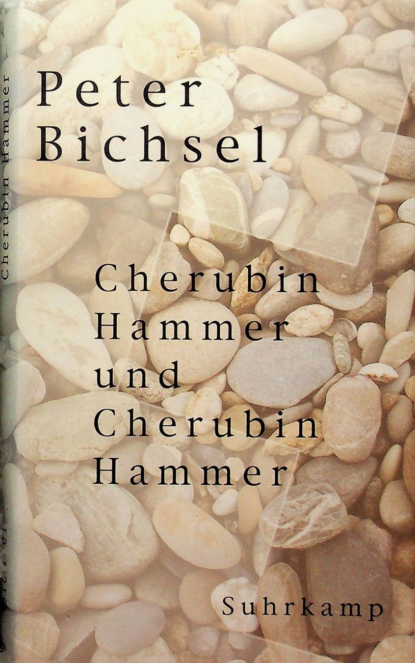 Libri: Peter Bichsel Cherubin Hammer und Cherubin Hammer – Usato da Reitnau venduto da Zaomir