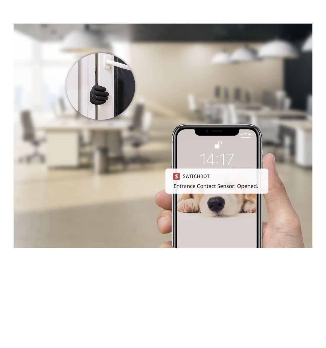 Switchbot Alarmanlagen: SwitchBot Fensterkontakt weiss neu – Gebraucht aus Biel/Bienne von Saalso 3