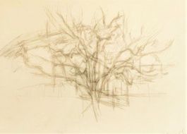 Alberto Giacometti, Vintage Lithographie - 1963