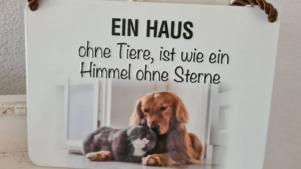 Bichon Frise Bad Metallschild - Vintage Wanddekoration 20x30cm Für Küche & Bar