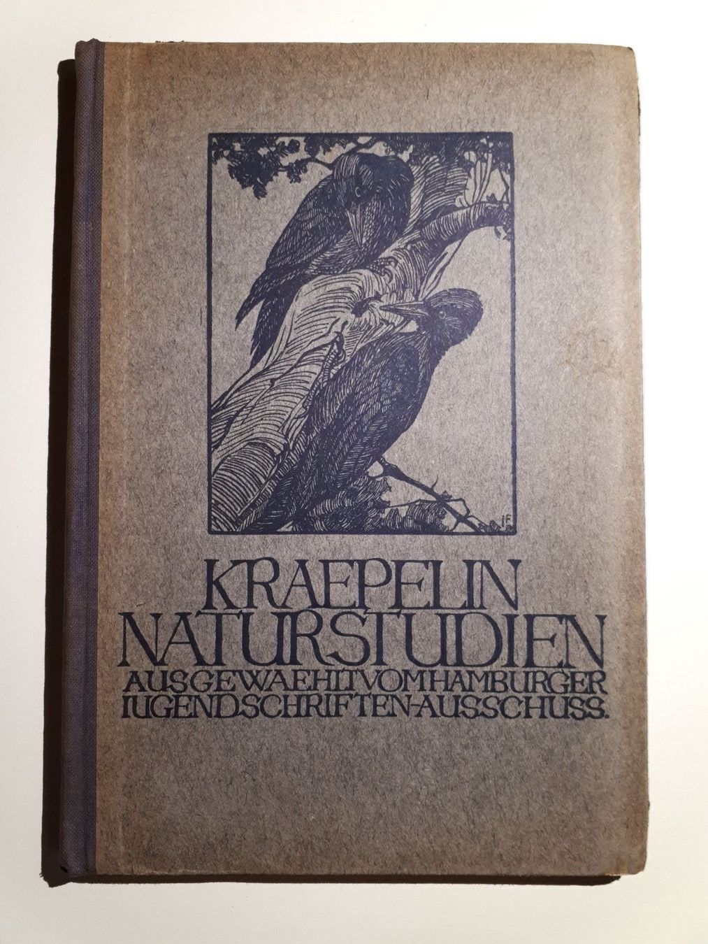 Libri: Kraepelin: Naturstudien – Usato da Dietikon venduto da Buchantiqdietikon
