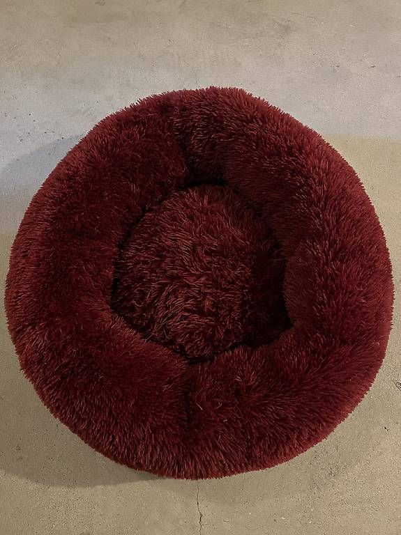 Niches, paniers: Flauschiges Hundebett – D'occasion à Niederhasli par JUPOGI