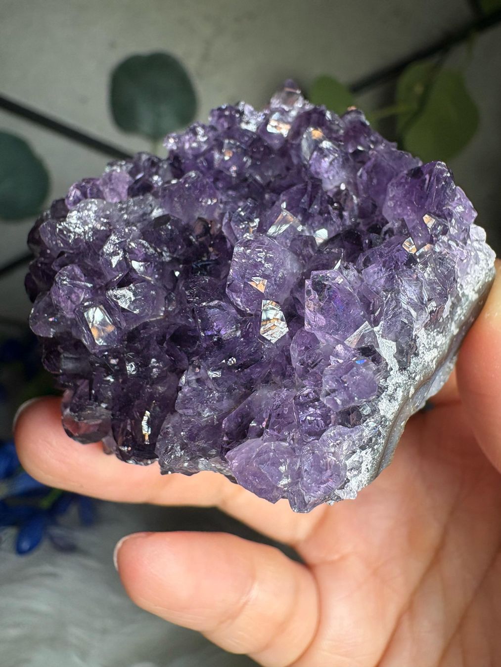 Edelsteine: Uruguay Amethyst – Super High Quality – Neu (gemäss Beschreibung) aus Neuheim von m.hald