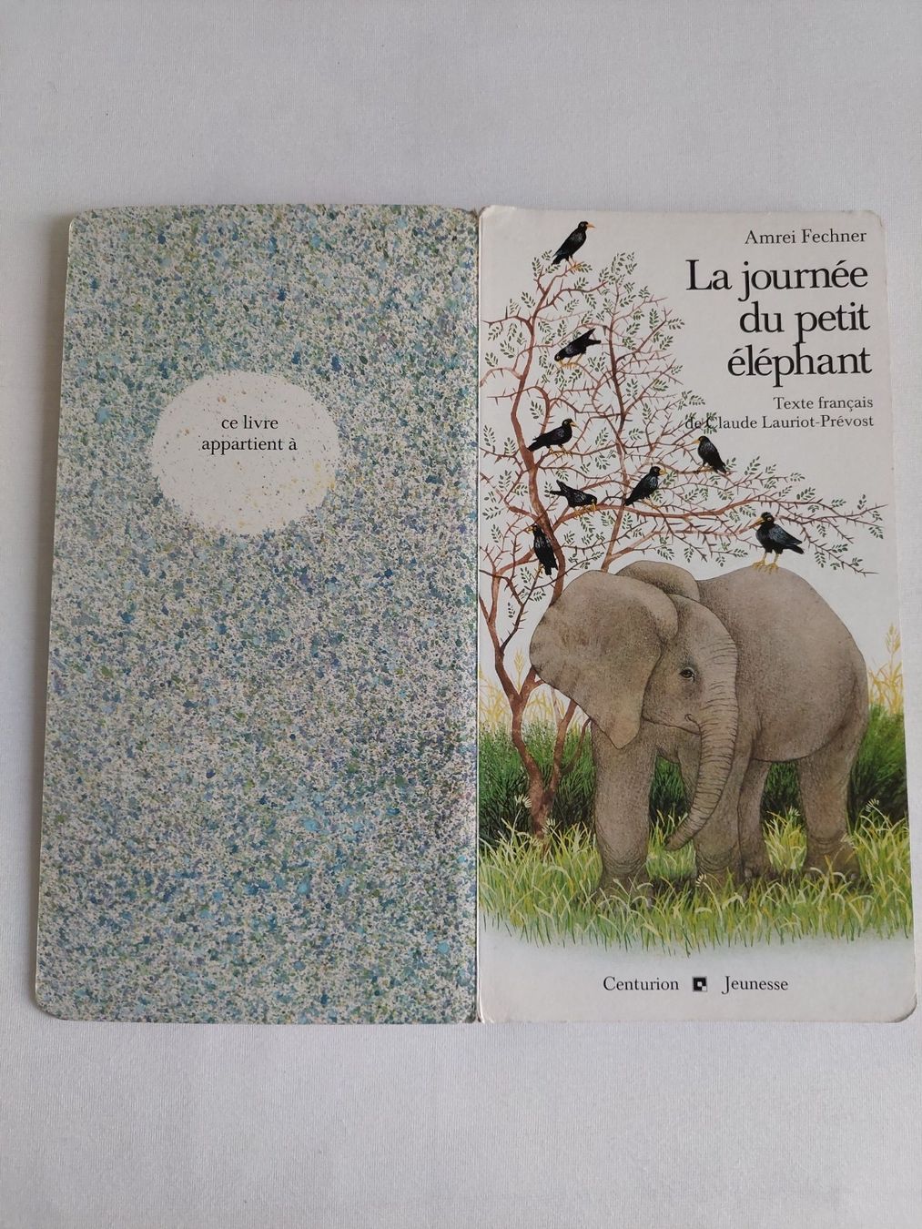 Libri: La journee du petit elephant – Usato da Zürich venduto da Taxista 1