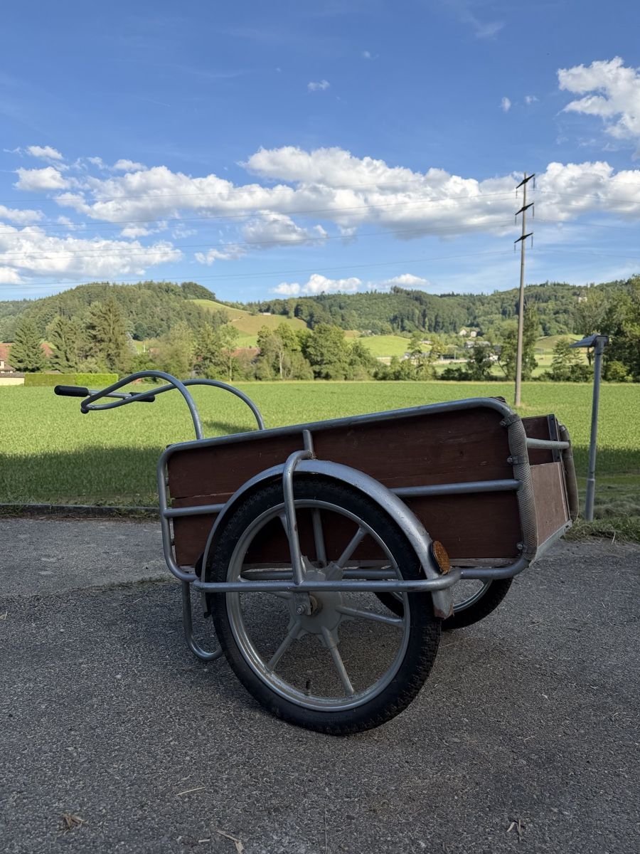 Rimorchi: Velo- / Mofaanhänger – Usato da Hunzenschwil venduto da kakadu212