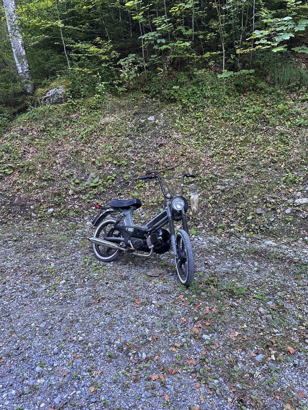 Ciclomotori: TOMOS Sprint Töffli – Usato da Innertkirchen venduto da Top_100 4