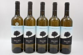 6x LE MACCHIOLE Paleo 2024 Weisswein (26070767Z)