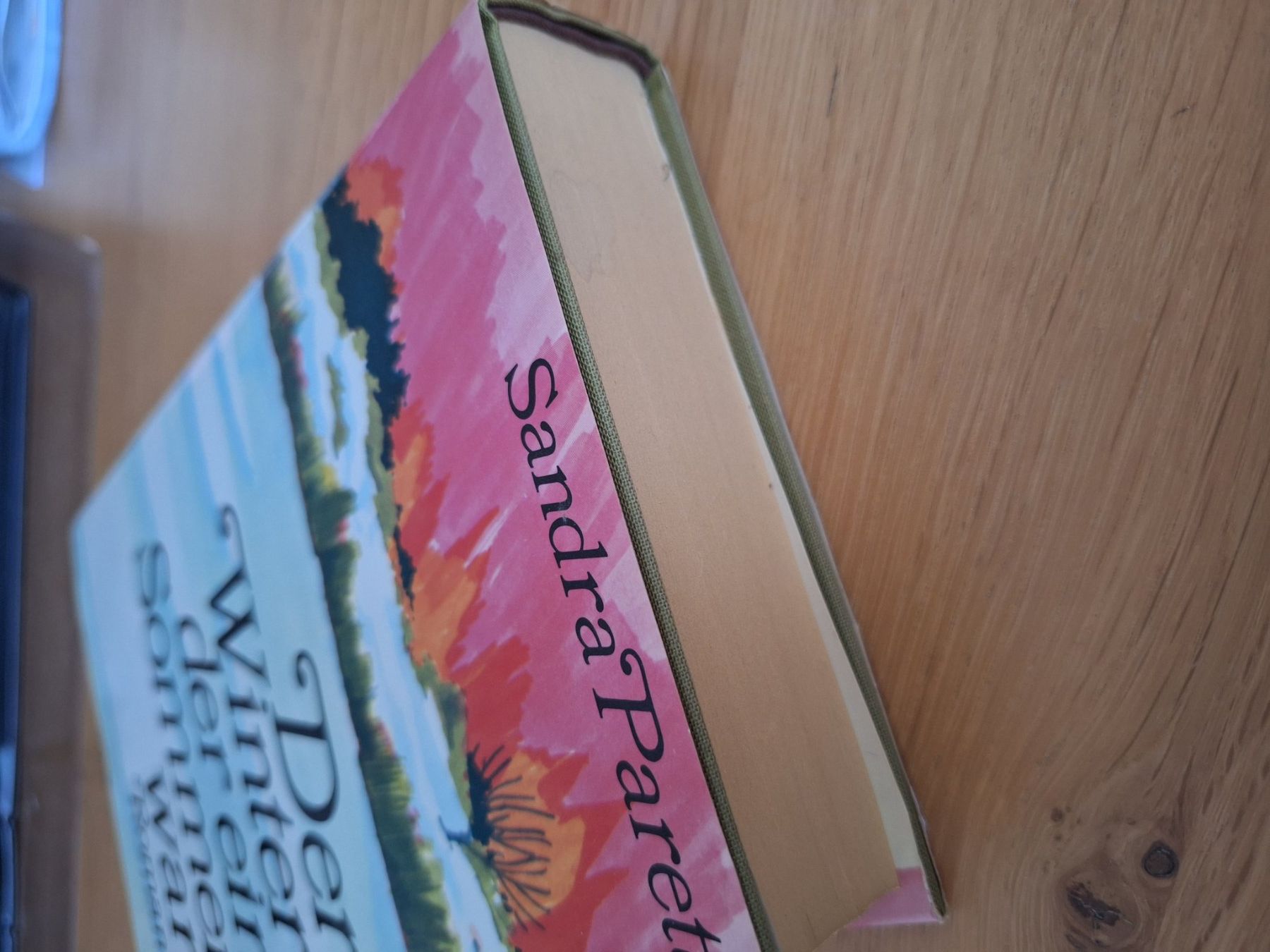 Libri: Roman Sandra Paretti Der Winter der ein Sommer war – Usato da Wanzwil venduto da chlinih93 3