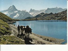 Bachalpsee 1969