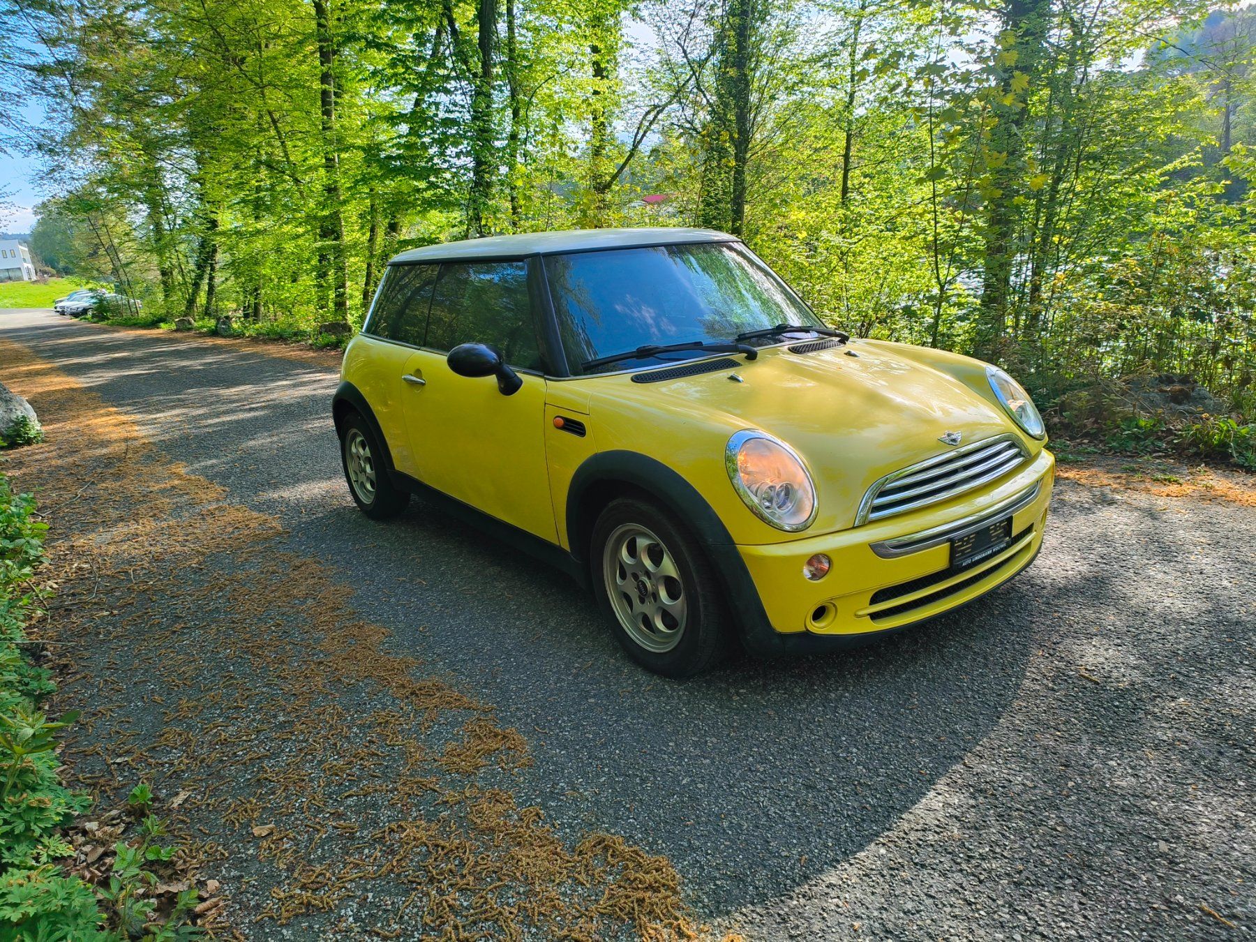 Mini Automobili: Mini Cooper.in Gelb.Frisch MFK. – Usato da Fulenbach venduto da Elektronik 8