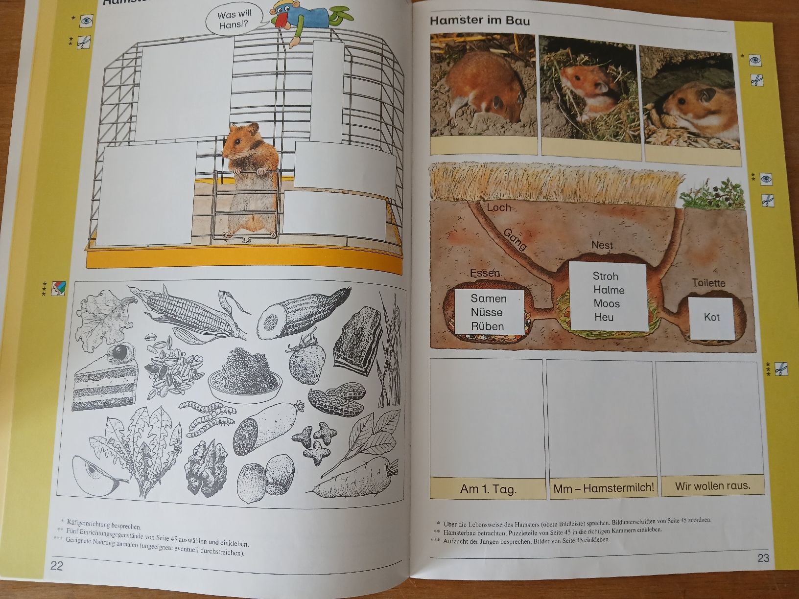 Libri: Schulbuch – Usato da Ennetmoos venduto da kch_2tpv 1