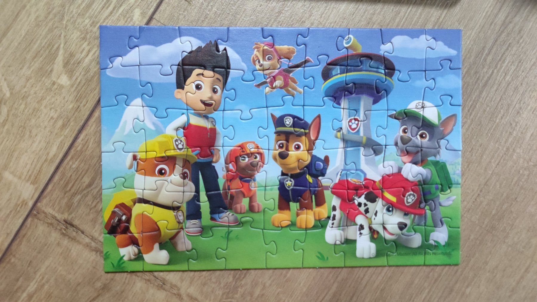 Giochi: Paw Patrol Spiele 5-er Set – Usato da Trun venduto da sta_qg85 3