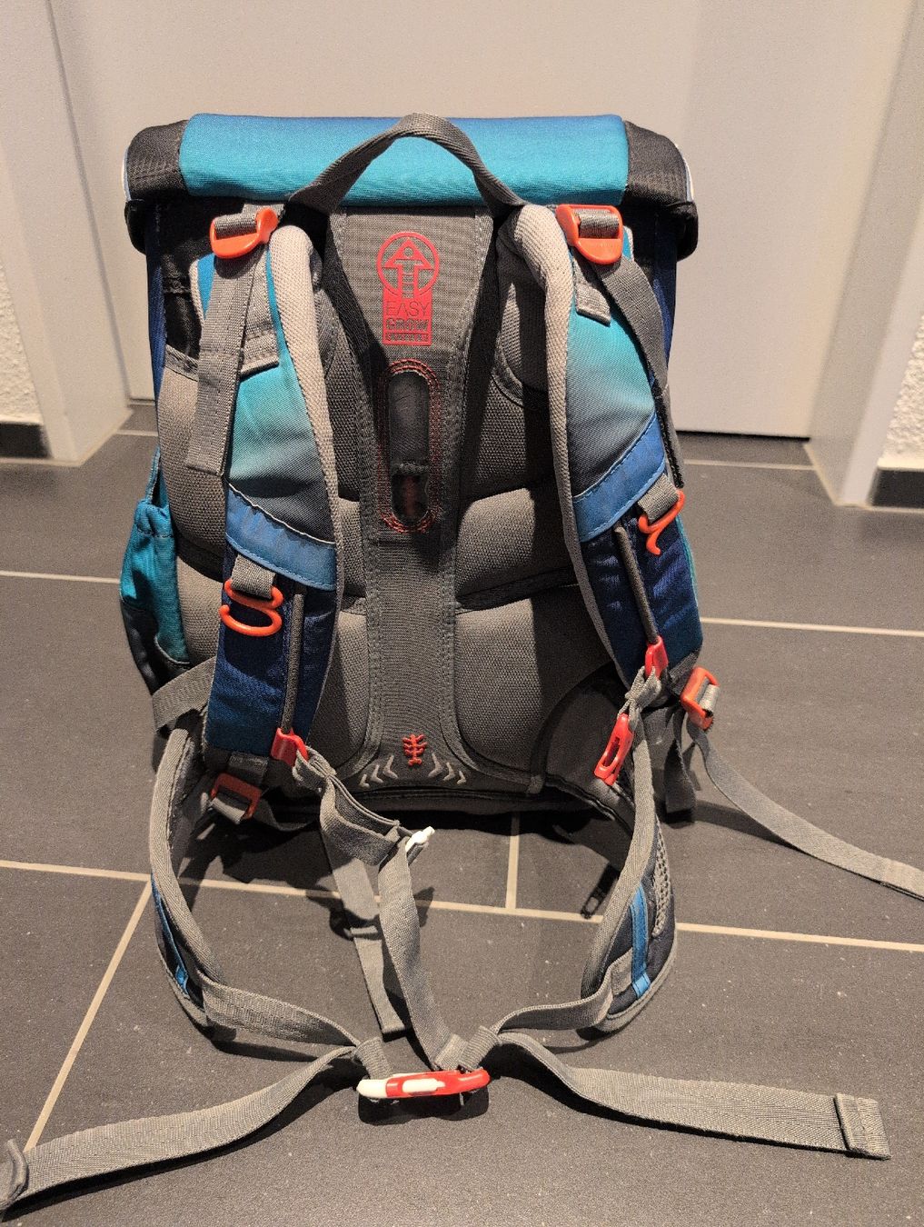 Step by Step Zaini: step by step Schulthek – Usato da Buchs AG venduto da cwu_n96v 2
