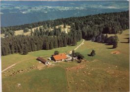 CREUX-DU-VAN - LES  PETITES  FAUCONNIÈRES