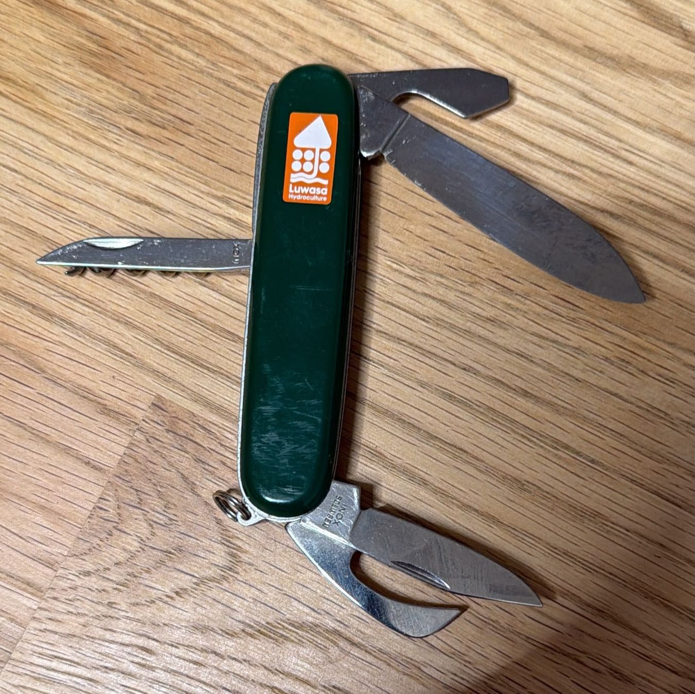 Solingen Coltelli tascabile: INOX SOLINGEN SACKMESSER LUWASA – Usato da Zürich venduto da Frei-Occasionen