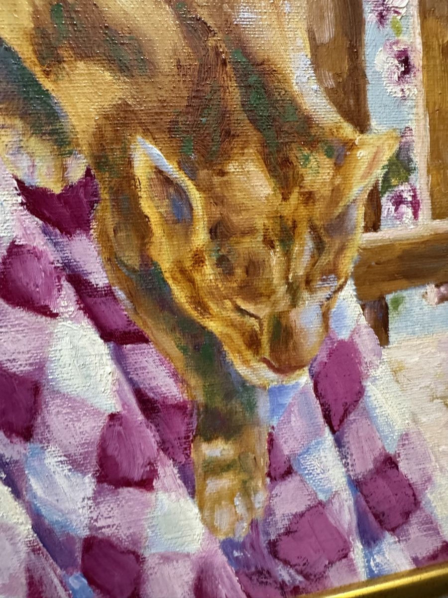 Gemälde: Original "Resting Cat" Oil Painting Framed - Summer – Gebraucht aus Morges von SevArt 4