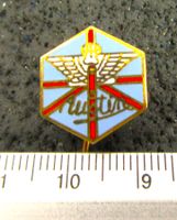 AUSTIN AUTO LOGO ABZEICHEN ENAMEL ANSTECKNADEL VINTAGE