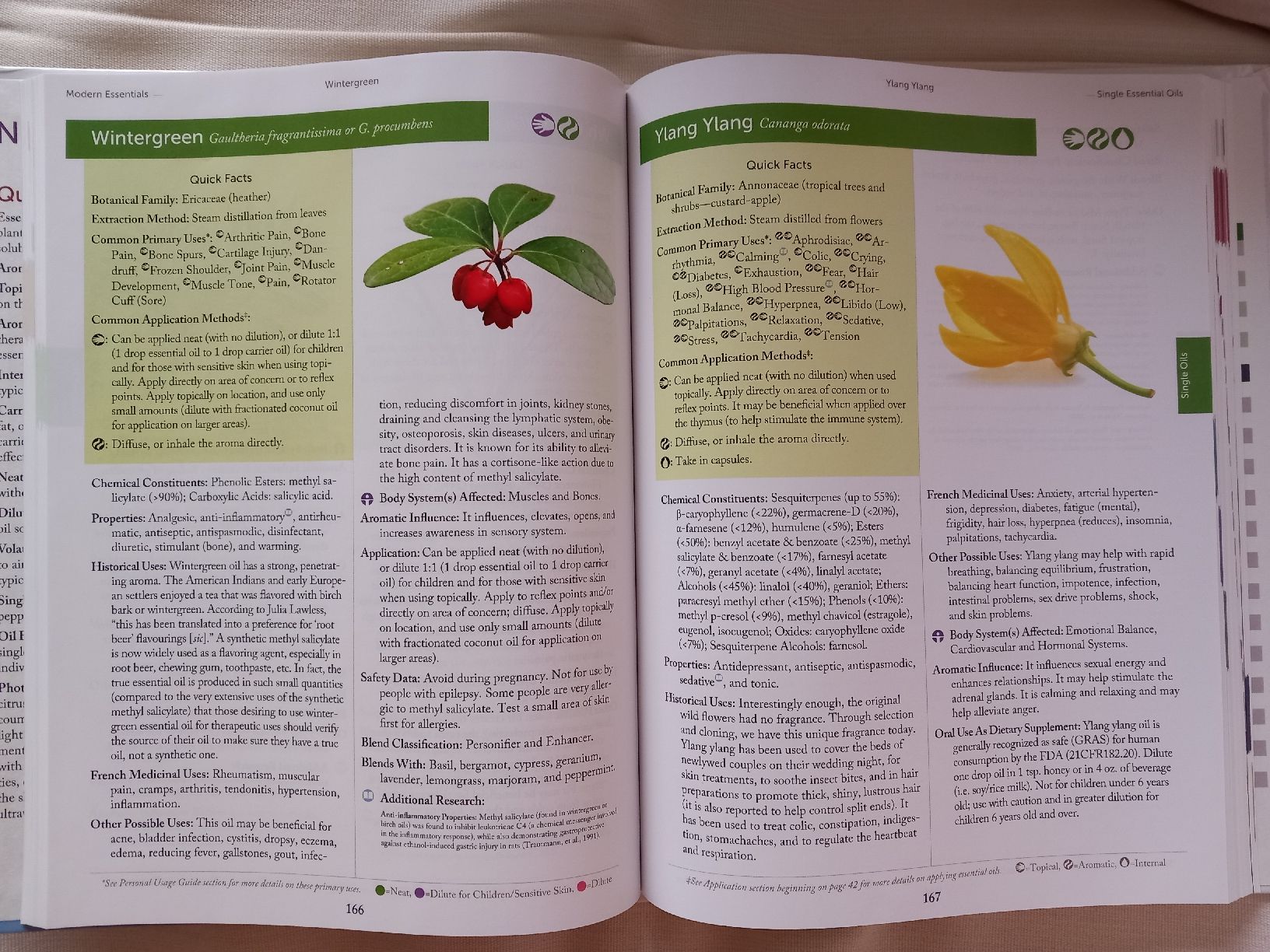 Libri: Modern Essentials Essential oils, 7.edition, ätherische Öle – Nuovo (secondo la descrizione) da Adliswil venduto da JanineT. 2