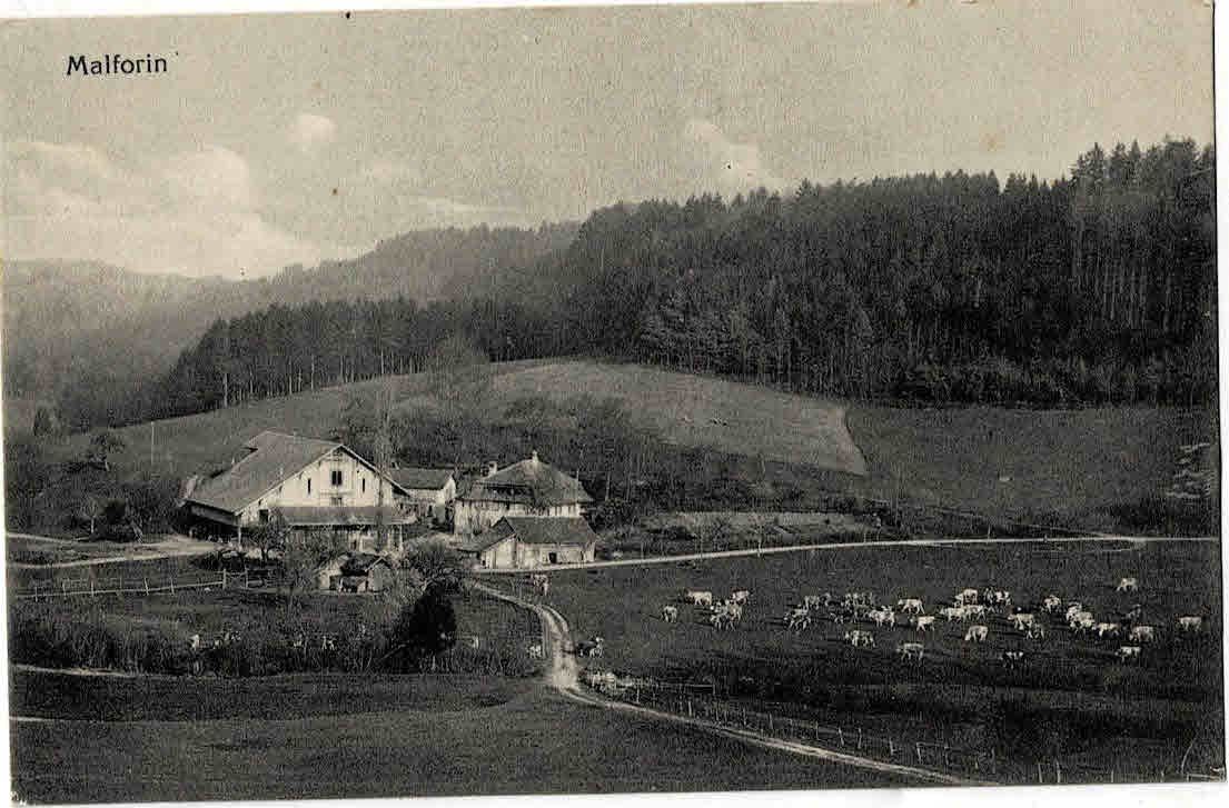 Ansichtskarten: Malforin selten – Gebraucht aus Sulz AG von Oberdanne8