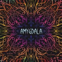 Amygdala