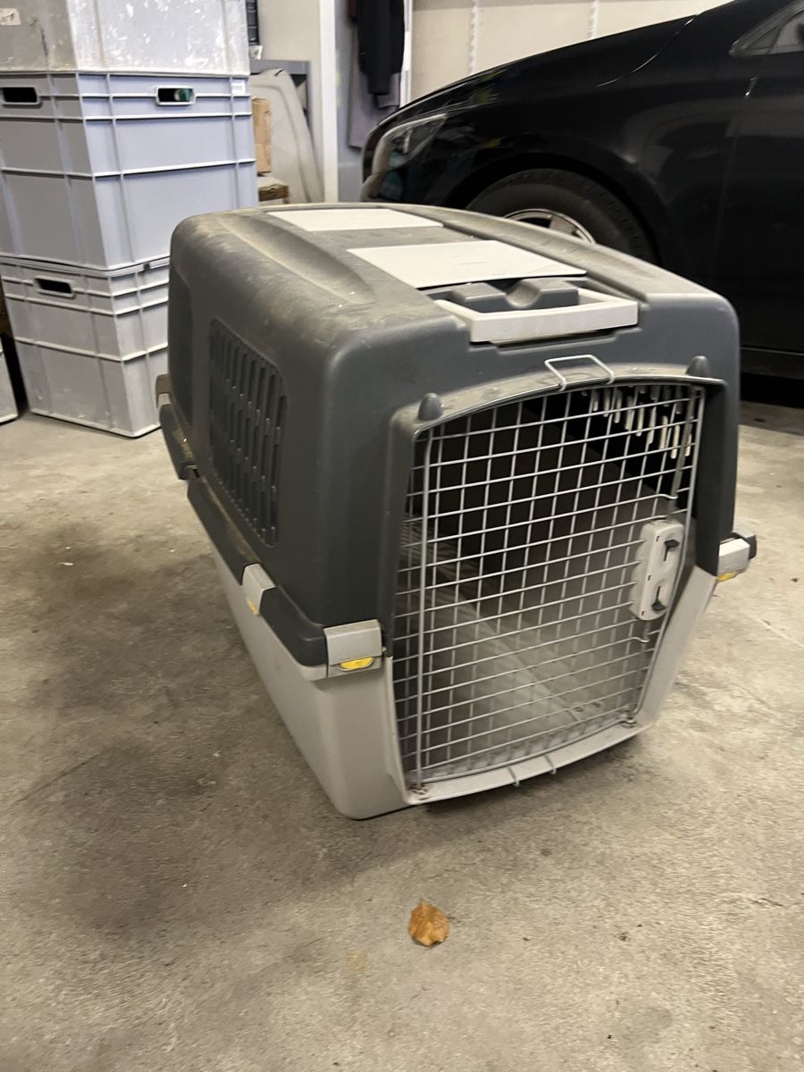 Gabbie, trasporto & Sicurezza: Grosse, robuste Hunde Transportbox für Auto oder Reise. – Usato da Fehraltorf venduto da flo0606