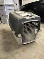 Grosse, robuste Hunde Transportbox für Auto oder Reise.