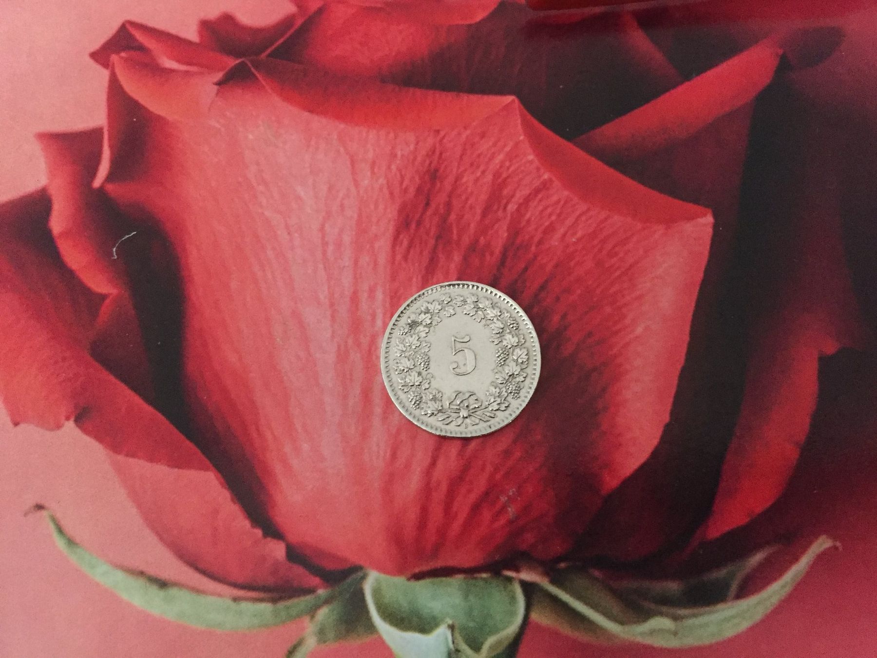 Tutti le monete: 5 Rappen 1959 -vz – Usato da Elsau venduto da herbybay 2