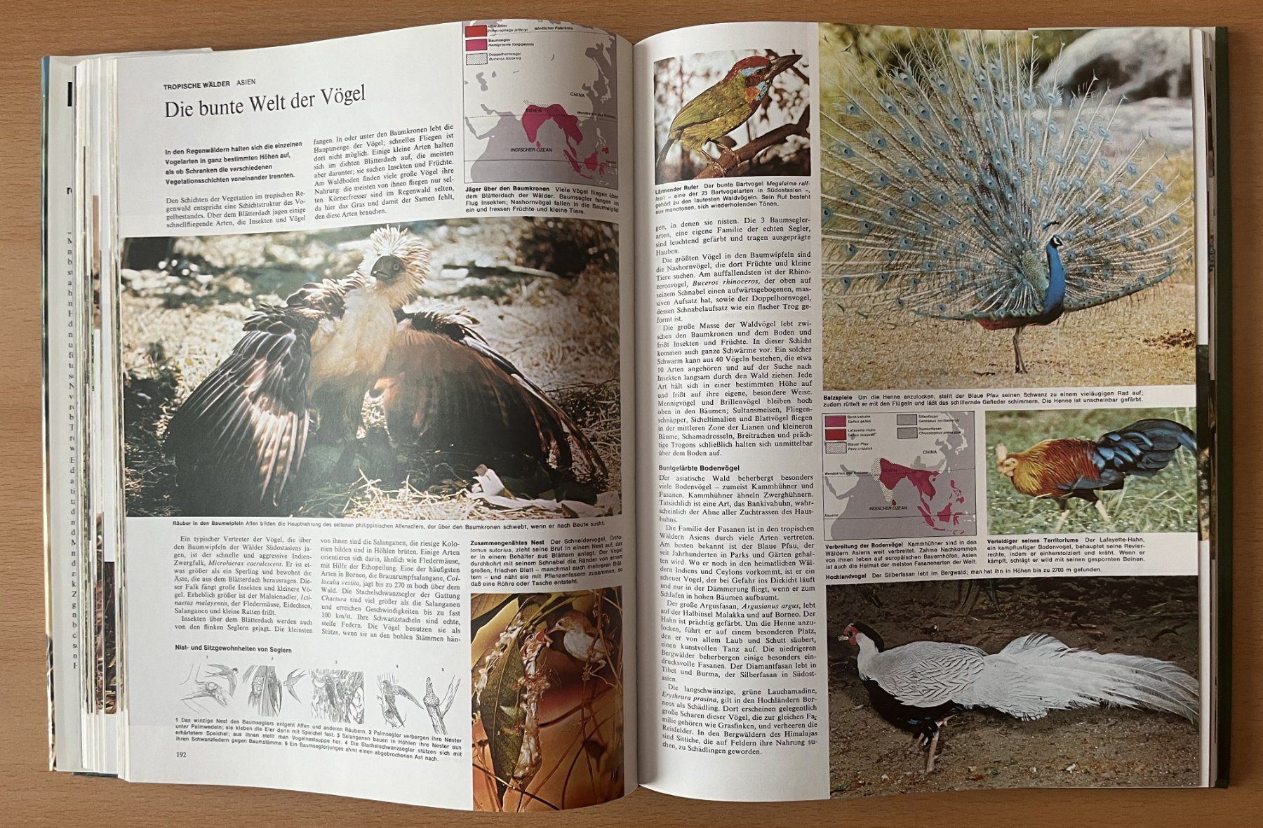 Libri: Bildatlas der Tierwelt – Usato da Lausen venduto da Mondeo10628 6