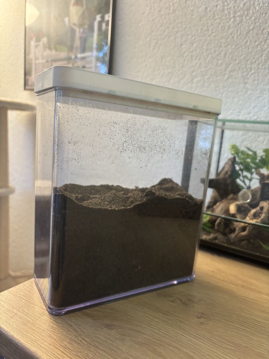 Terrarium: Terrarium 20x20cm – Gebraucht aus Lyss von vam_r6h6 3