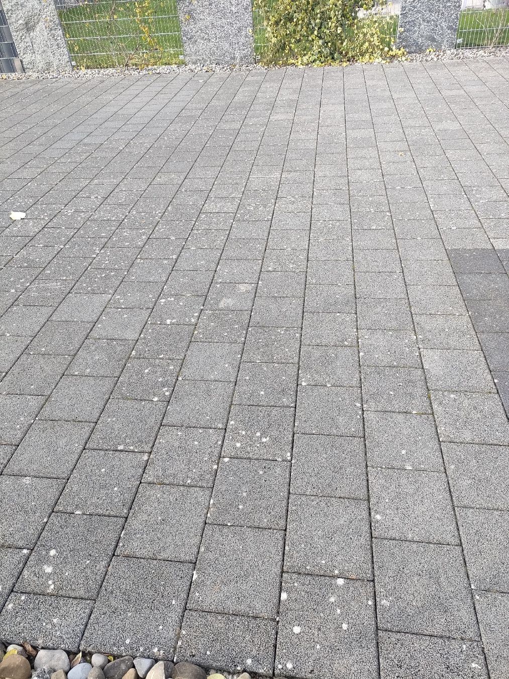 Bodenbeläge: Beton platte neu  25 Stk – Neu (gemäss Beschreibung) aus Sarmenstorf von schasil 1