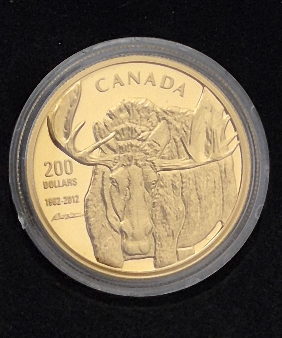 Alle Münzen: Goldmünze 1 Unze Canada Elch – Neu (gemäss Beschreibung) aus Greppen von hploetscher 4